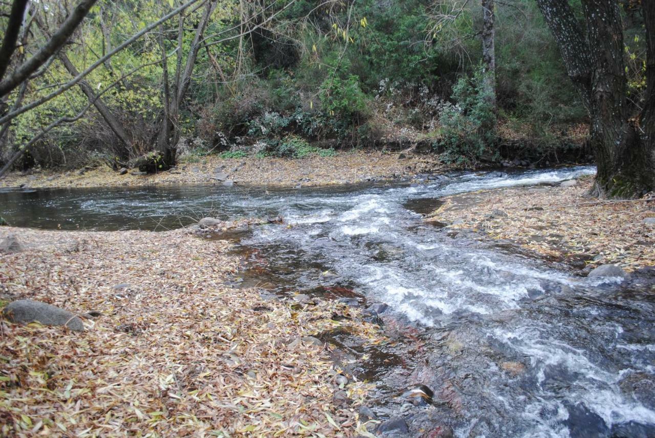 Dormi Del Pellin Ξενοδοχείο San Martín de los Andes Εξωτερικό φωτογραφία